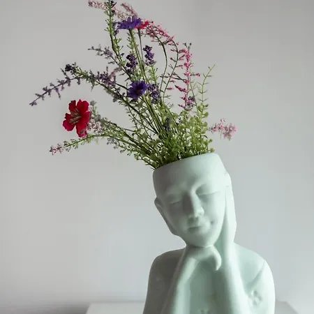 Appartement Opo Vale Formoso I *